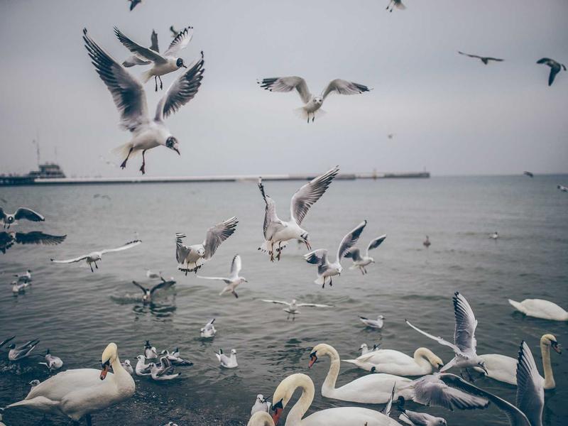 sudoku subset counting screenshot 4