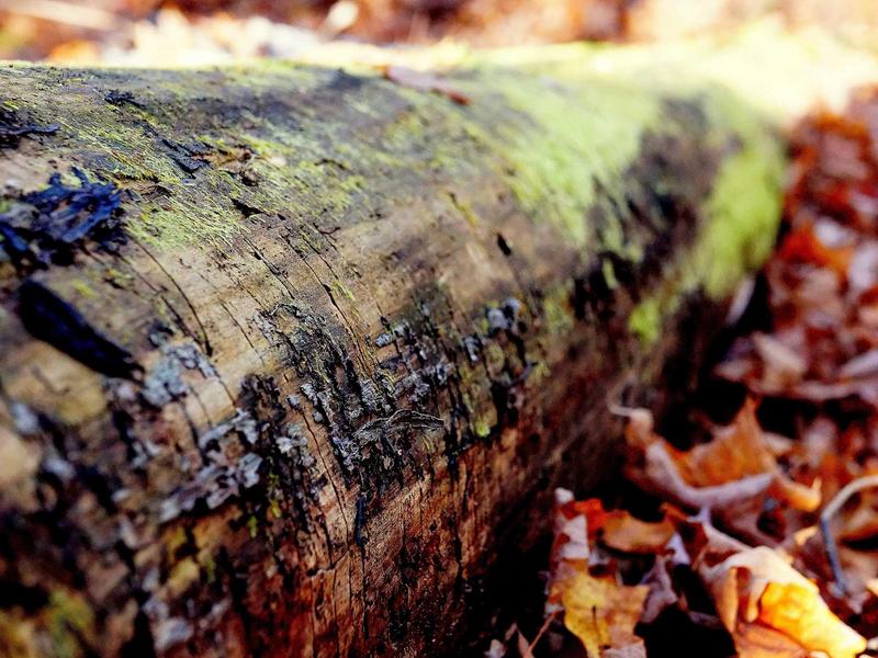 accessibility screenshot 3